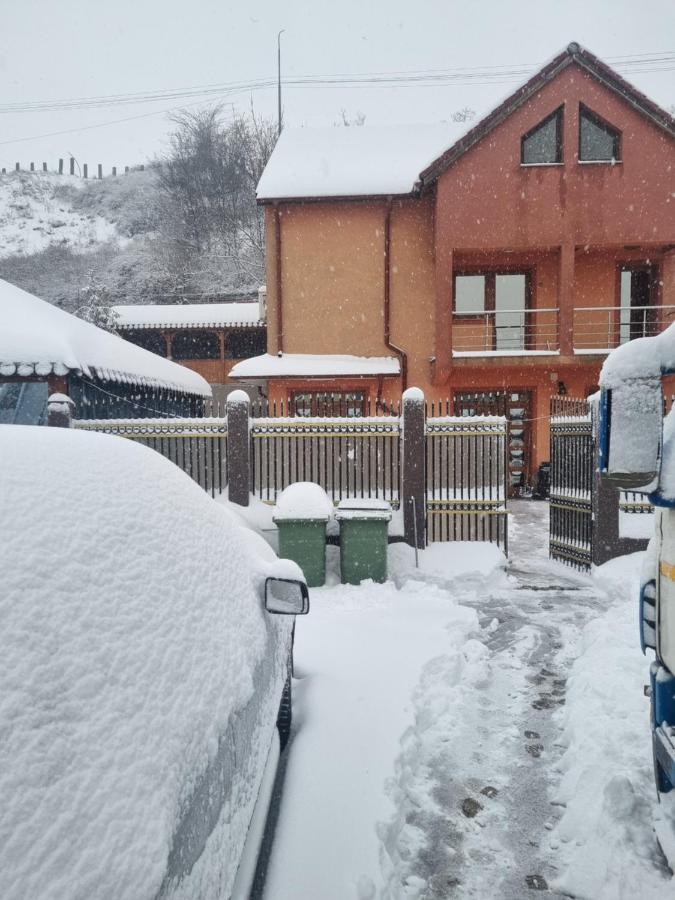 Vila Mario Galaţi Exteriör bild